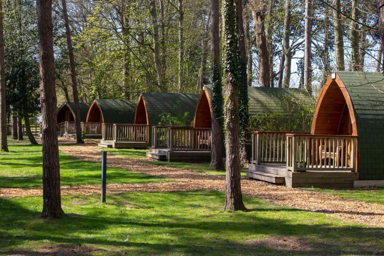 Pinewood - At Port Lympne Reserve Hythe  Eksteriør bilde